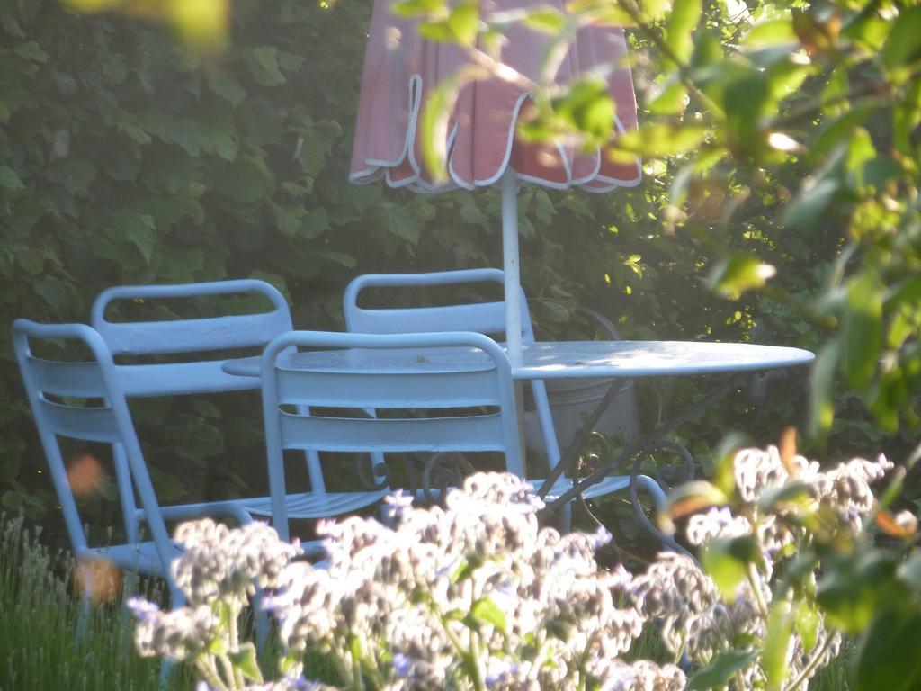 Nieuwkerke Guesthouse Kolibriehuys מראה חיצוני תמונה