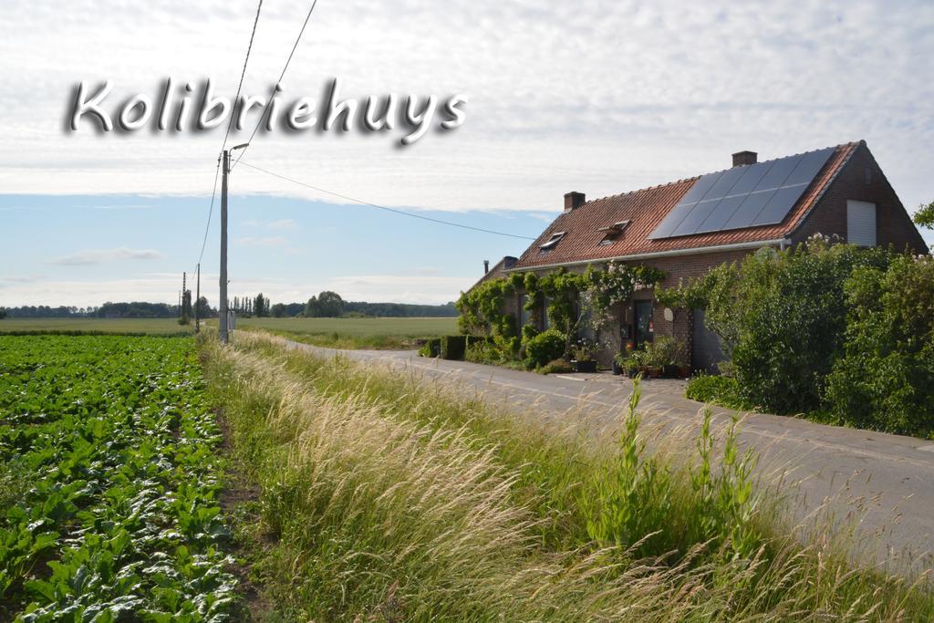 Nieuwkerke Guesthouse Kolibriehuys מראה חיצוני תמונה